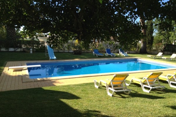 Pool from Garden
